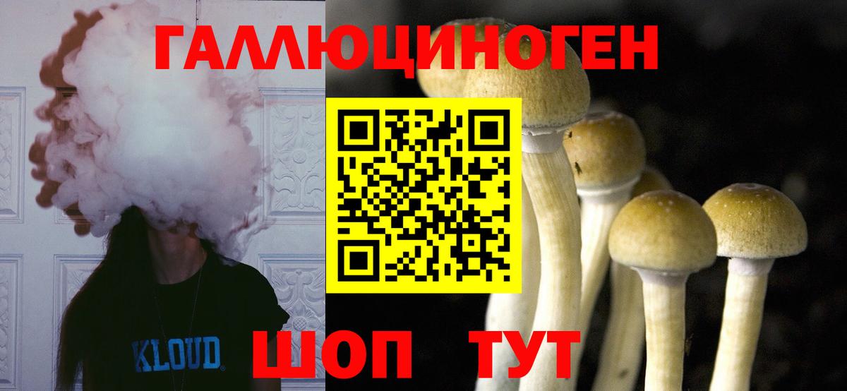 Псилоцибиновые грибы прущие грибы Балашиха